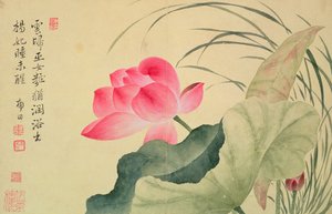 Lotusblomst, af Yun Shou-P